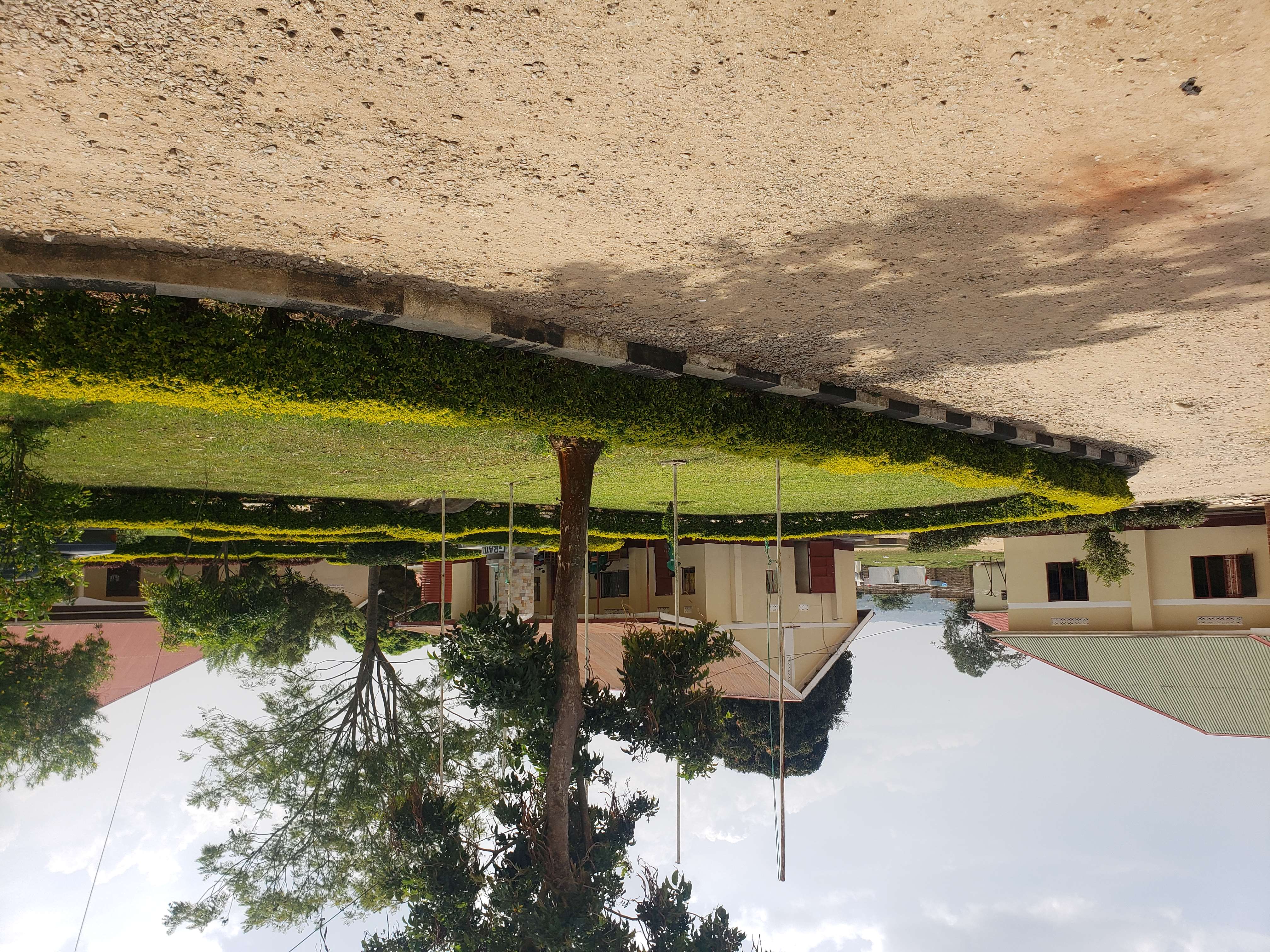 Students conducting a practical demonstration in the nursing lab
